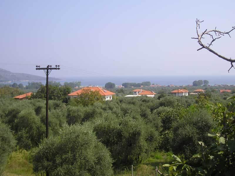 Hotel Irini Skala Potamia (Thasos) Exterior foto